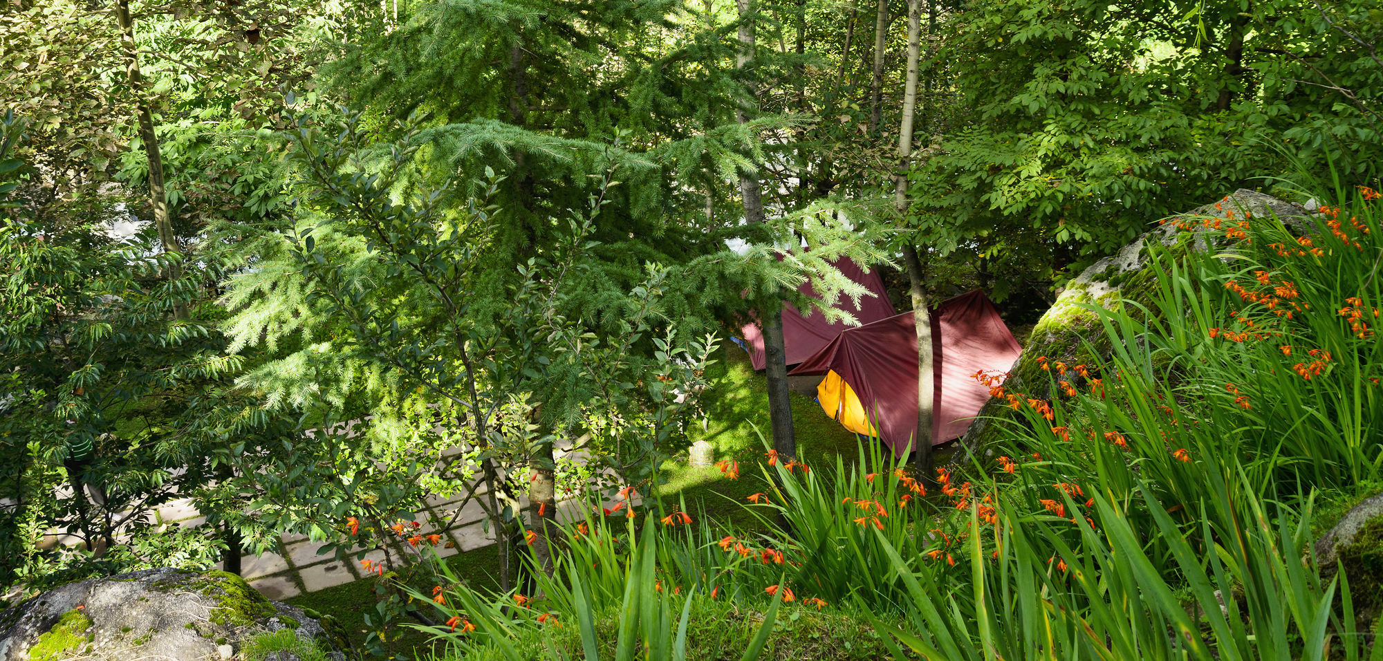 Palchān Solang Valley Resort מראה חיצוני תמונה